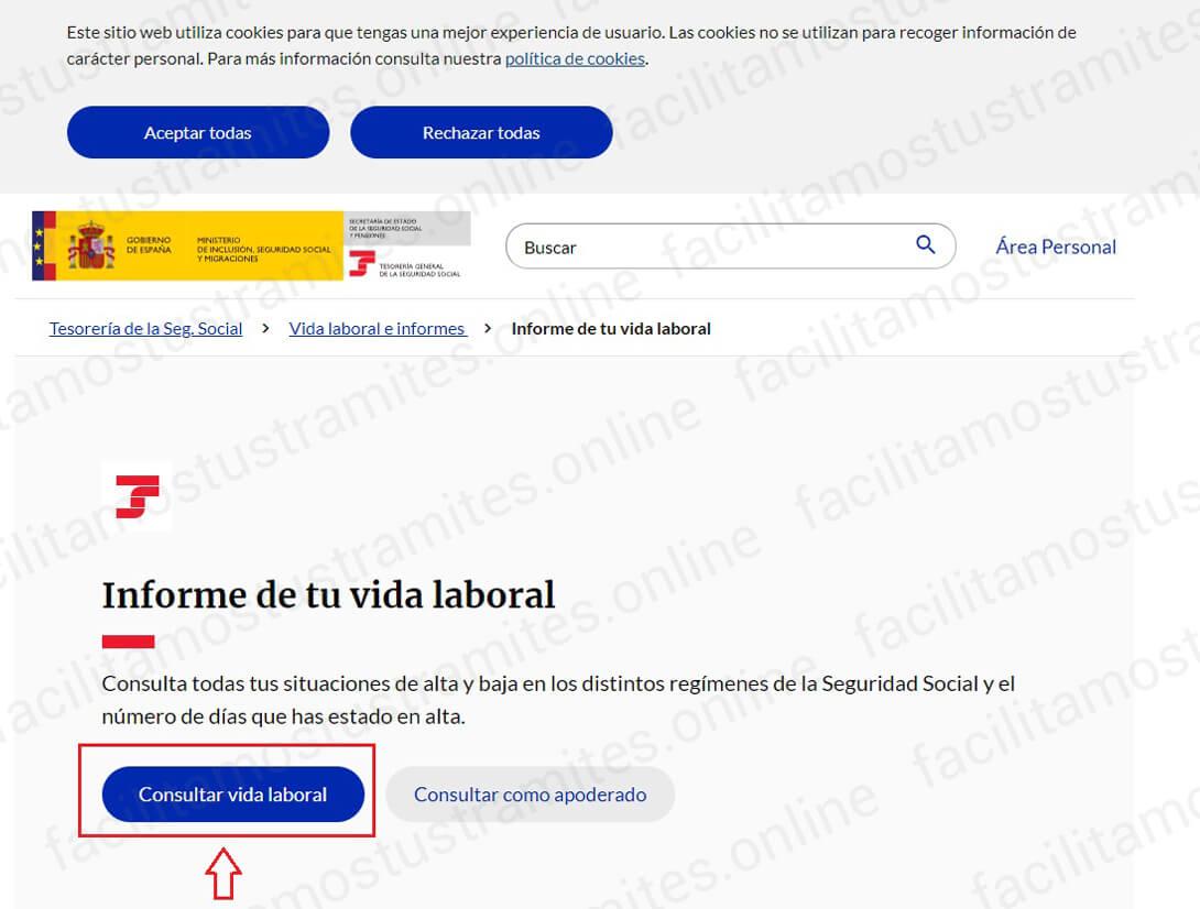 pedir-vida-laboral-paso-2