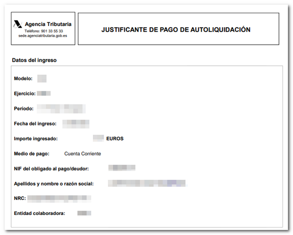 ejemplo justificante de pago